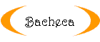 Bacheca